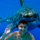 Illustration for article titled SHARKANDRY